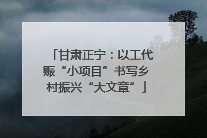 甘肃正宁：以工代赈“小项目”书写乡村振兴“大文章”