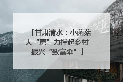 甘肃清水：小菌菇大“蘑”力撑起乡村振兴“致富伞”