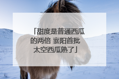 甜度是普通西瓜的两倍 襄阳首批太空西瓜熟了