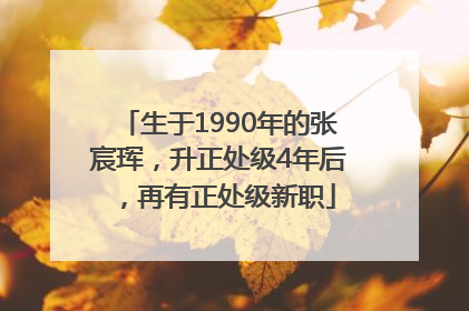 生于1990年的张宸珲，升正处级4年后，再有正处级新职