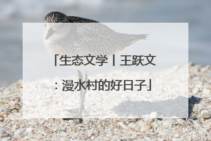 生态文学丨王跃文：漫水村的好日子