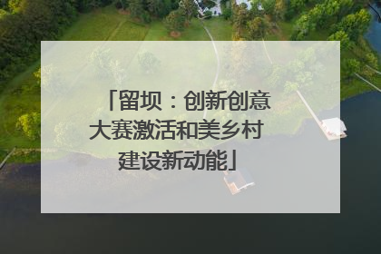 留坝：创新创意大赛激活和美乡村建设新动能