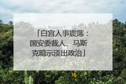白宫人事震荡：国安委裁人、马斯克暗示淡出政治
