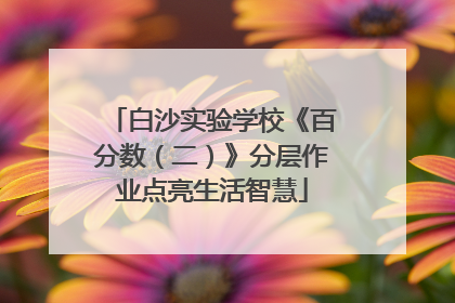 白沙实验学校《百分数（二）》分层作业点亮生活智慧