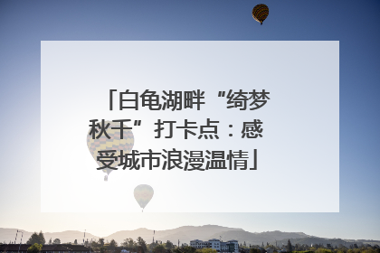 白龟湖畔“绮梦秋千”打卡点：感受城市浪漫温情