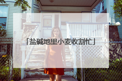 盐碱地里小麦收割忙