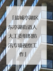 盐城亭湖区东亭湖街道人大工委组织防汛专项视察工作
