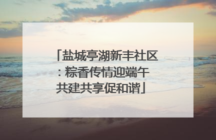 盐城亭湖新丰社区：粽香传情迎端午 共建共享促和谐