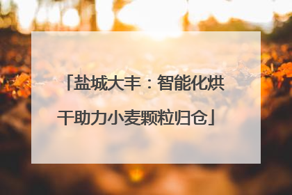 盐城大丰：智能化烘干助力小麦颗粒归仓