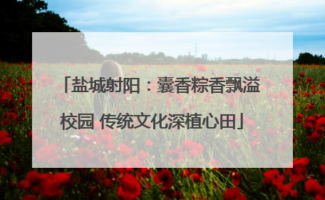 盐城射阳：囊香粽香飘溢校园 传统文化深植心田