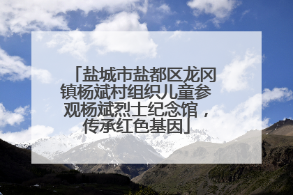 盐城市盐都区龙冈镇杨斌村组织儿童参观杨斌烈士纪念馆，传承红色基因