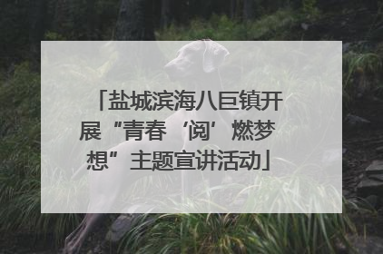 盐城滨海八巨镇开展“青春‘阅’燃梦想”主题宣讲活动
