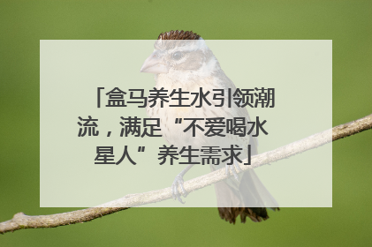 盒马养生水引领潮流，满足“不爱喝水星人”养生需求