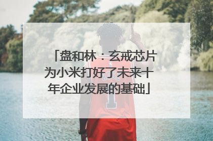 盘和林：玄戒芯片为小米打好了未来十年企业发展的基础