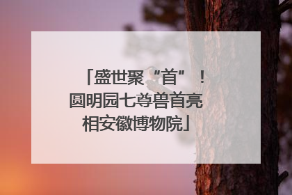 盛世聚“首”！圆明园七尊兽首亮相安徽博物院