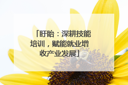 盱眙：深耕技能培训，赋能就业增收产业发展