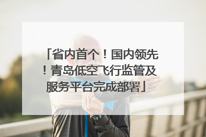 省内首个！国内领先！青岛低空飞行监管及服务平台完成部署