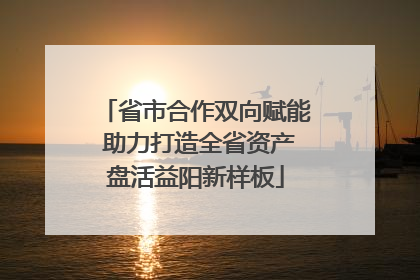 省市合作双向赋能 助力打造全省资产盘活益阳新样板