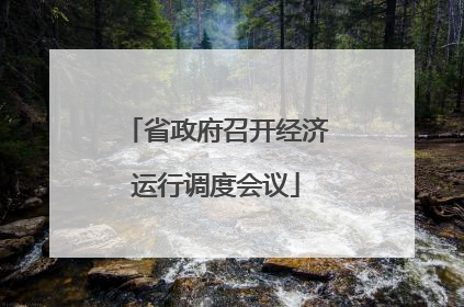 省政府召开经济运行调度会议