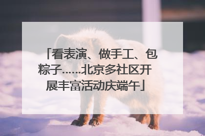 看表演、做手工、包粽子……北京多社区开展丰富活动庆端午