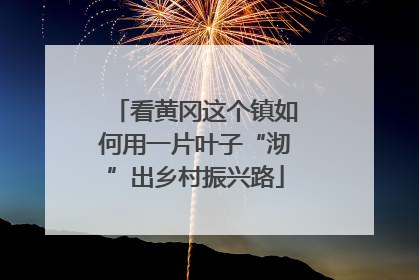 看黄冈这个镇如何用一片叶子“沏”出乡村振兴路