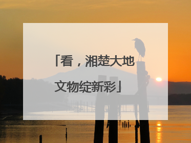 看，湘楚大地文物绽新彩