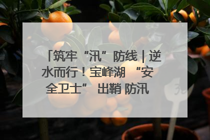 筑牢“汛”防线｜逆水而行！宝峰湖 “安全卫士” 出鞘 防汛应急再添硬核力量