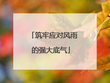 筑牢应对风雨的强大底气