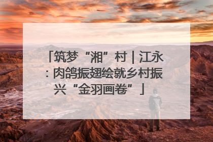 筑梦“湘”村｜江永：肉鸽振翅绘就乡村振兴“金羽画卷”