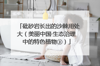 砒砂岩长出的沙棘用处大（美丽中国·生态治理中的特色植物③）