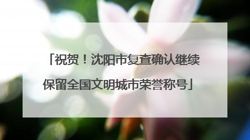 祝贺！沈阳市复查确认继续保留全国文明城市荣誉称号
