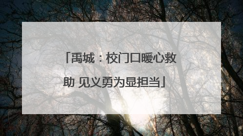 禹城：校门口暖心救助 见义勇为显担当