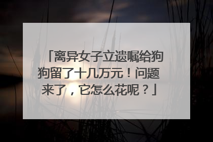 离异女子立遗嘱给狗狗留了十几万元！问题来了，它怎么花呢？