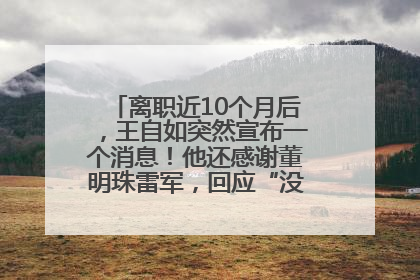 离职近10个月后，王自如突然宣布一个消息！他还感谢董明珠雷军，回应“没看过格力工资条”：真的不那么重要！