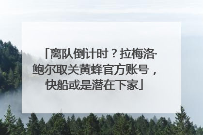 离队倒计时？拉梅洛·鲍尔取关黄蜂官方账号，快船或是潜在下家