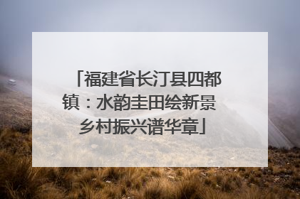 福建省长汀县四都镇：水韵圭田绘新景 乡村振兴谱华章