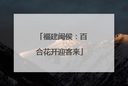 福建闽侯：百合花开迎客来