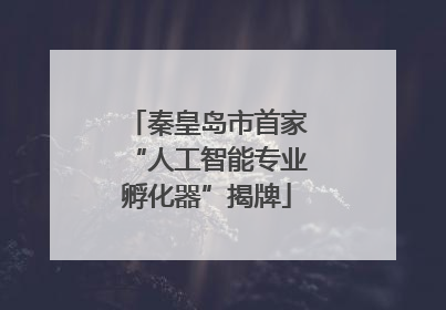 秦皇岛市首家“人工智能专业孵化器”揭牌