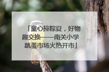 童心撞粽夏，好物趣交换——南关小学跳蚤市场火热开市