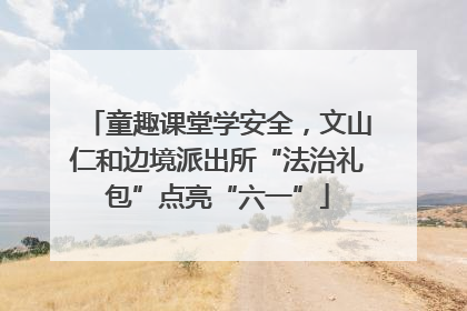童趣课堂学安全，文山仁和边境派出所“法治礼包”点亮“六一”