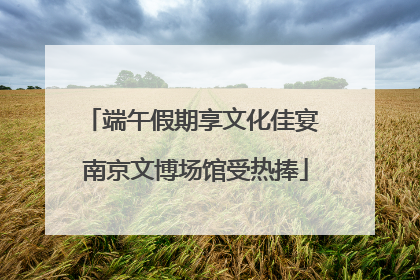 端午假期享文化佳宴 南京文博场馆受热捧