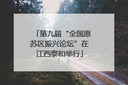 第九届“全国原苏区振兴论坛”在江西泰和举行