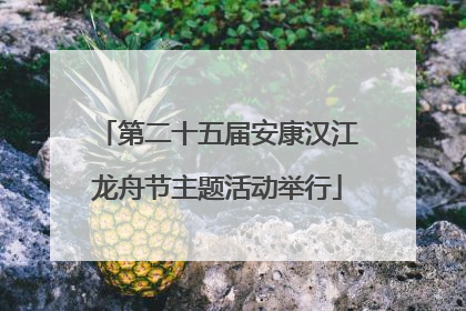 第二十五届安康汉江龙舟节主题活动举行