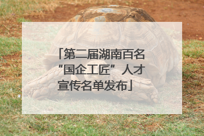 第二届湖南百名“国企工匠”人才宣传名单发布