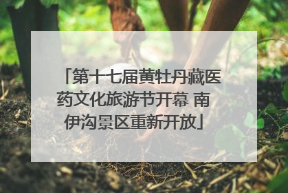 第十七届黄牡丹藏医药文化旅游节开幕 南伊沟景区重新开放