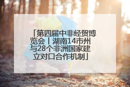 第四届中非经贸博览会丨湖南14市州与28个非洲国家建立对口合作机制