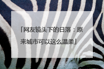 网友镜头下的日落：原来城市可以这么温柔