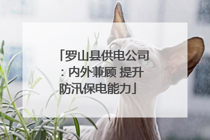 罗山县供电公司：内外兼顾 提升防汛保电能力