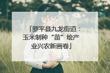 罗平县九龙街道：玉米制种“苗”绘产业兴农新画卷