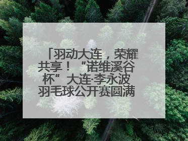 羽动大连，荣耀共享！“诺维溪谷杯”大连·李永波羽毛球公开赛圆满落幕！